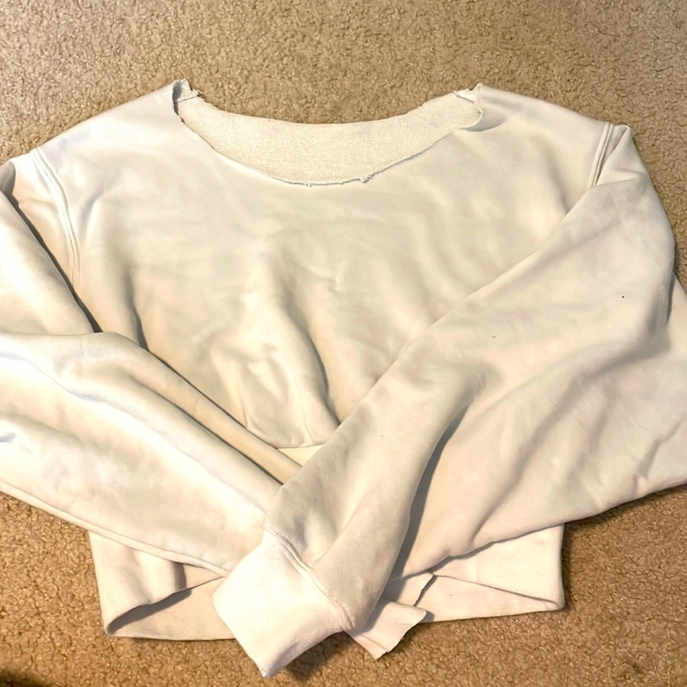 Aritzia Sweatshirt